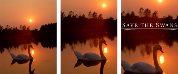 Design examples showing how to use the rule of thirds effectively.