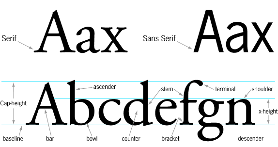 Infographic showing the anatomy of type.