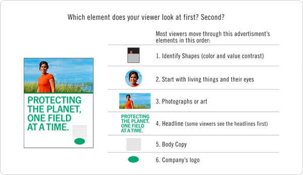 Infographic demonstrating the visual hierarchy of an advertisement.