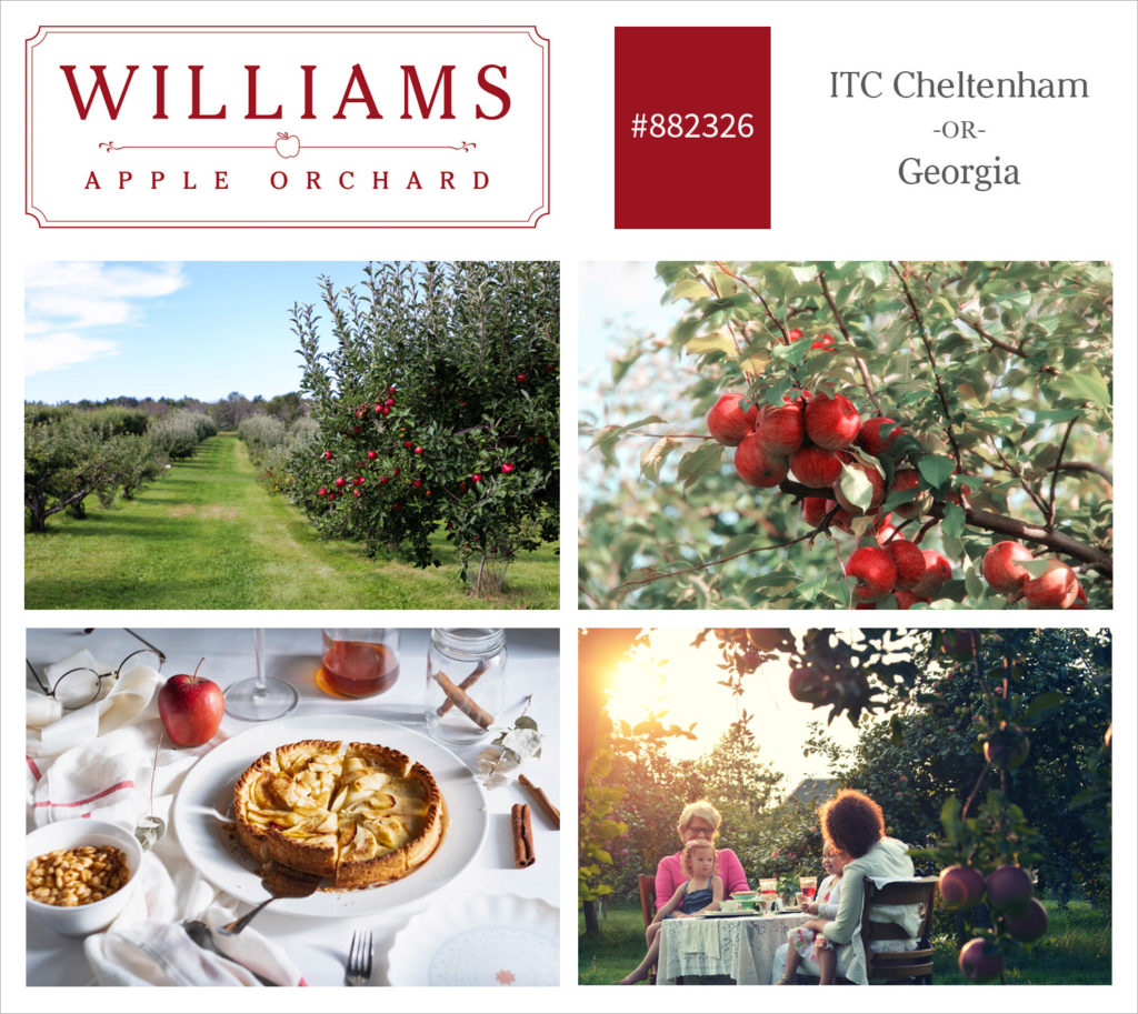 Graphic showing design brand assets