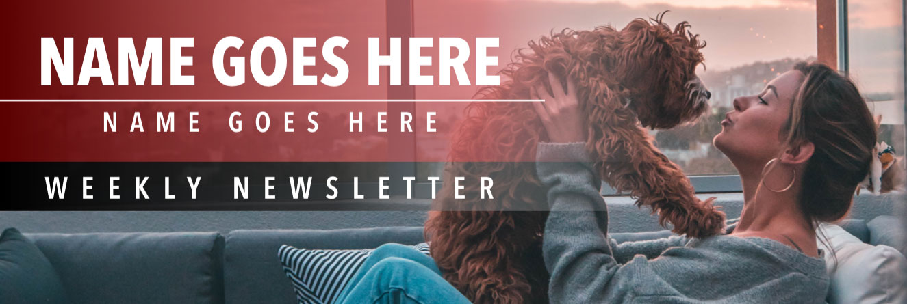 Email marketing header example