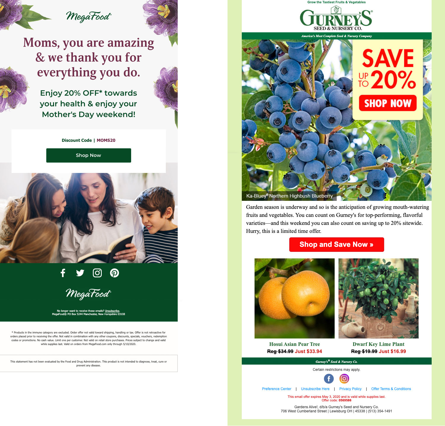 Industry Email Marketing Examples