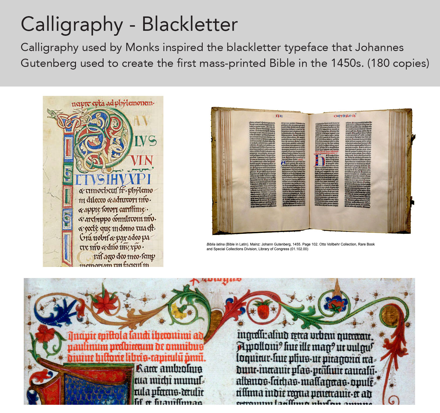 Graphic Showing various examples of calligraphic/blackletter typefaces