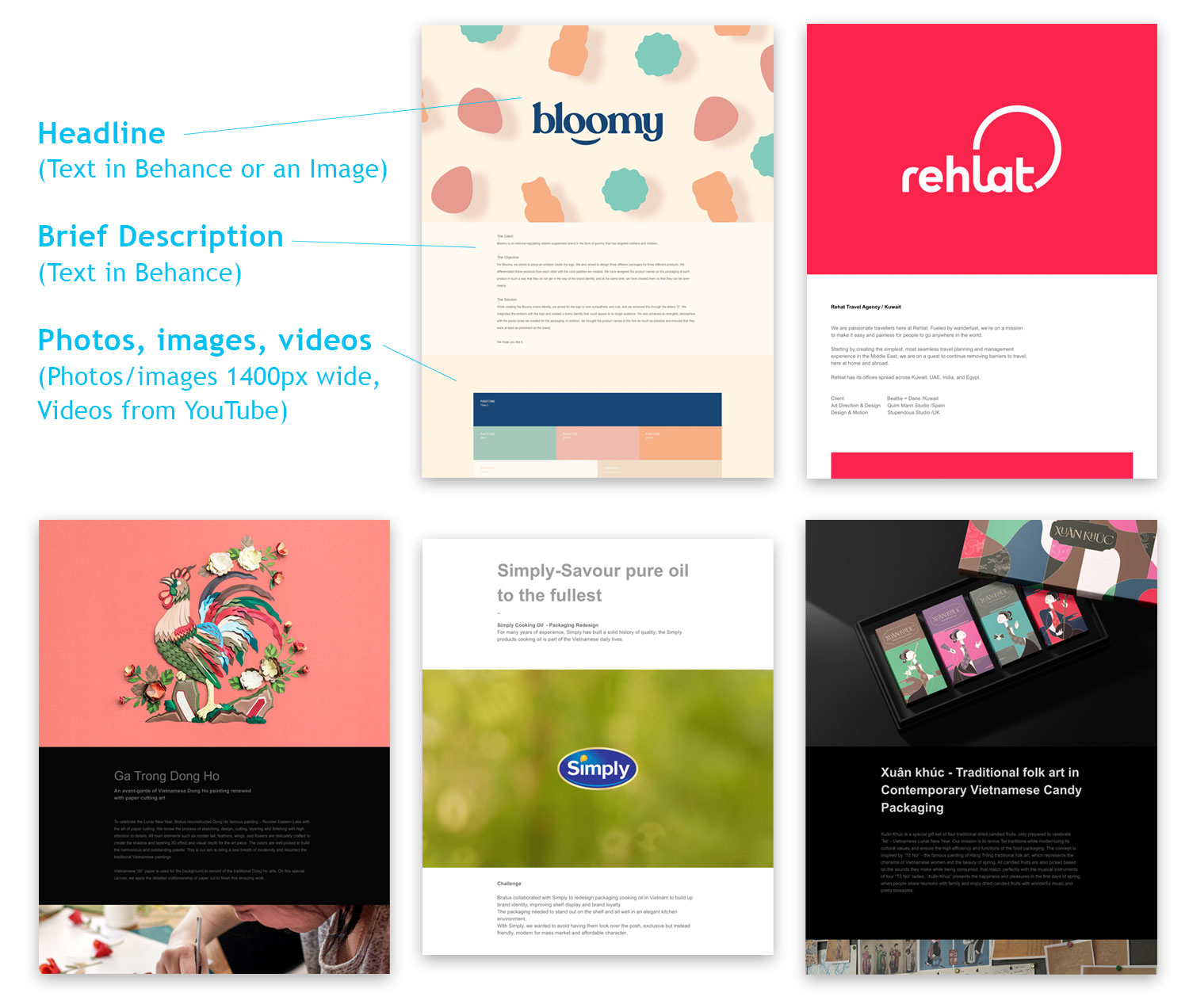 Behance Portfolio – Instructions – Craig Kunce