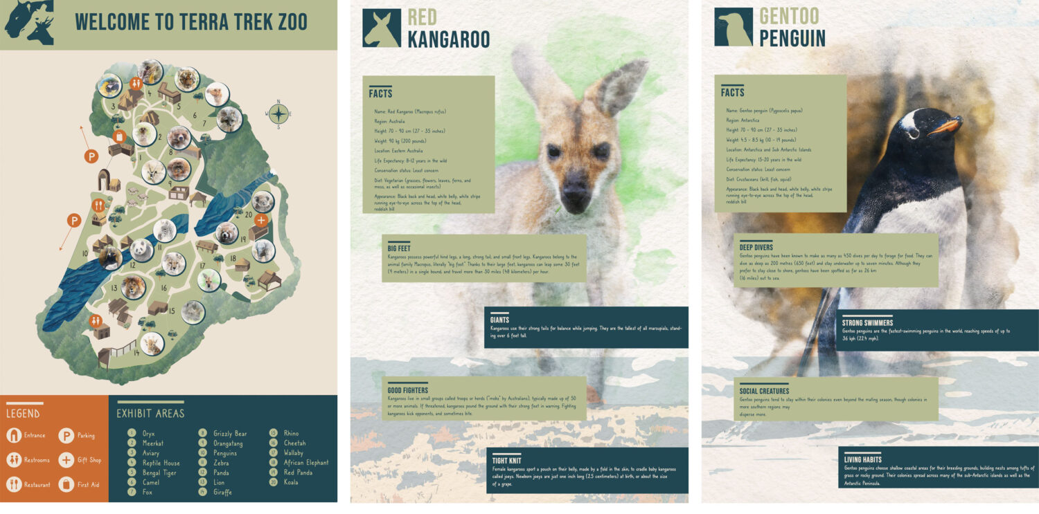 Student examples of a brochure with a map