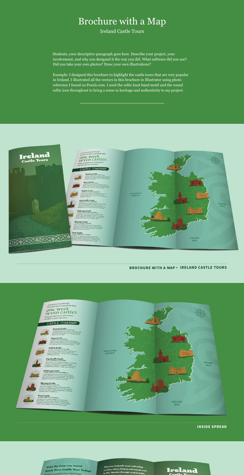 Behance portfolio website examples