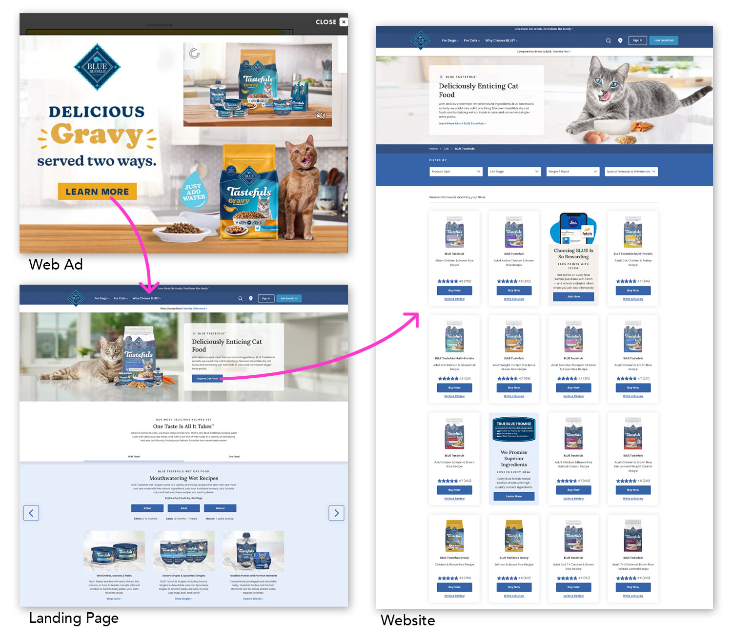 Visual showing the conversion path customers take for cat food, from wed ad, to landing page, to website.